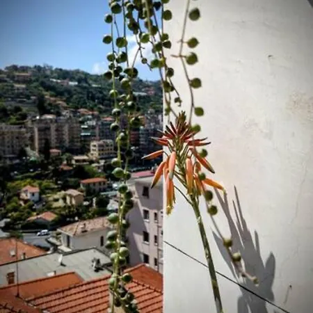 CASA AMARCORD Appartamento vintage con parcheggio Appartamento *